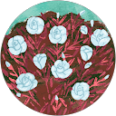 Semire Şahutoğlu profile picture